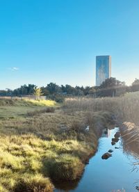 Scenic view of field against clear sky