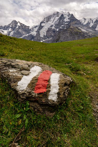 Scenic view of landscape and snowcapped mountains