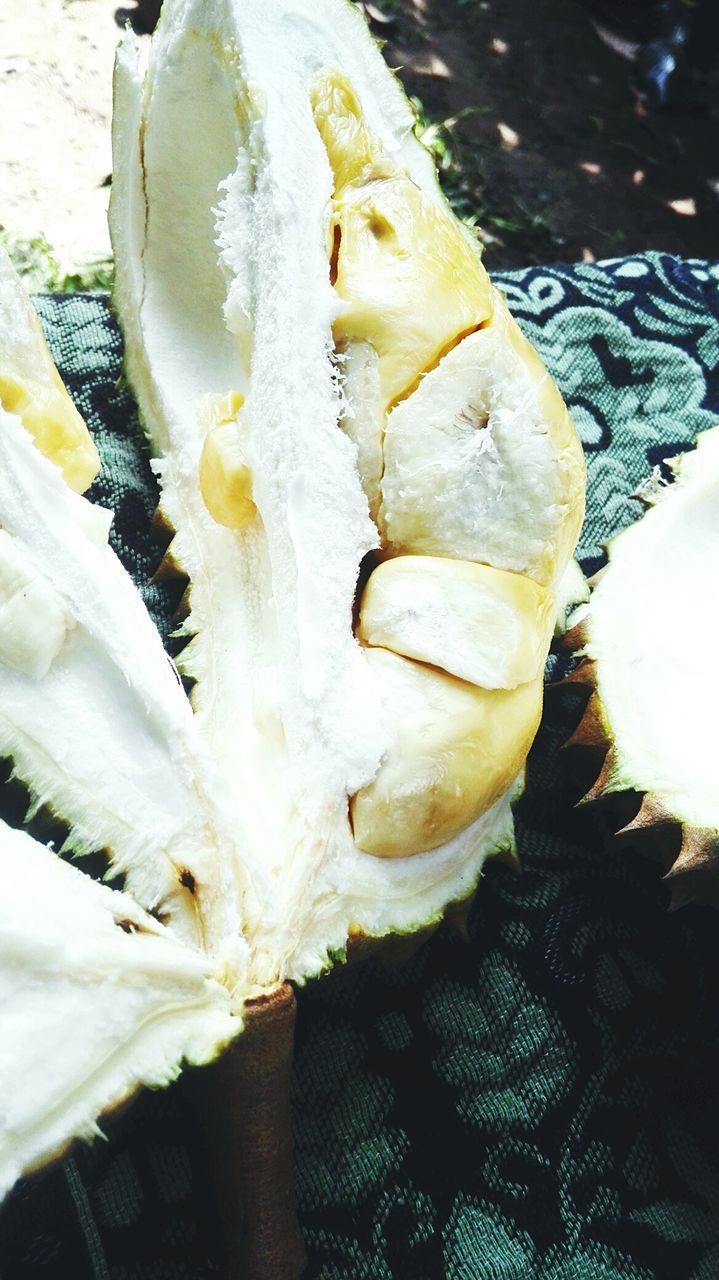 CLOSE-UP OF BREAD