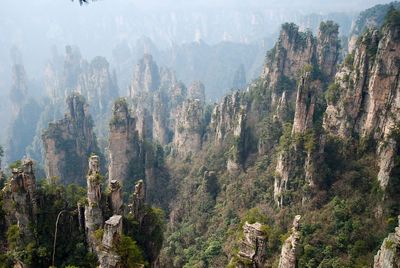 Panoramic shot of trees on mountains against sky