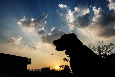 Low angle view of silhouette hand against sky during sunset