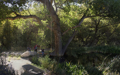 People by trees on landscape