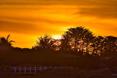 Silhouette trees against sky during sunset