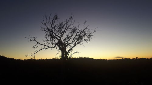 Silhouette bare tree on field against sky at sunset