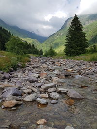 Scenic view of river against sky