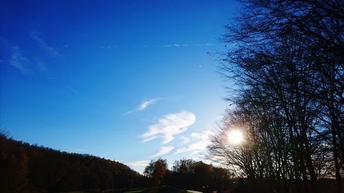 Low angle view of silhouette trees against blue sky