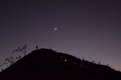 Low angle view of silhouette trees against clear sky at night