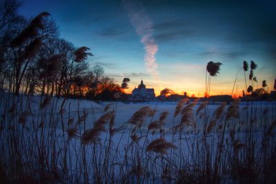 Scenic view of field against sky at sunset