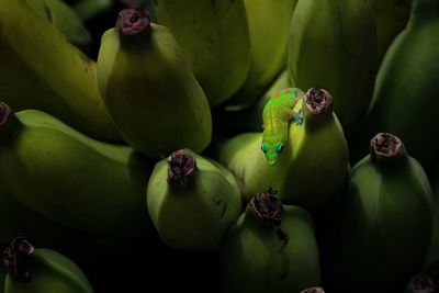 Close-up of fruits for sale in market