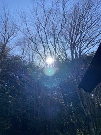 Low angle view of bare trees against sky