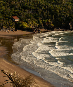 Scenic view of beach