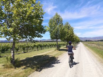 Rear view of person riding bicycle on road