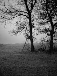 Bare trees on field against sky