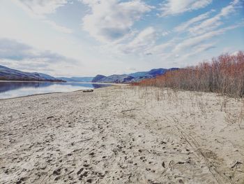 Scenic view of beach against sky
