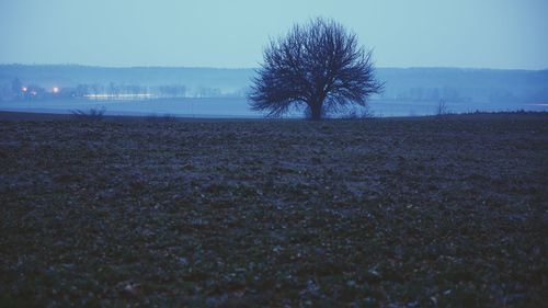 Tree on landscape against sky