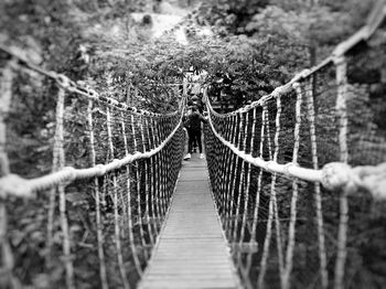 Rear view of man on footbridge in forest