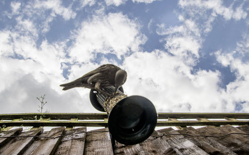 Low angle view of statue against sky