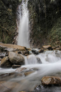 Scenic view of waterfall in forest