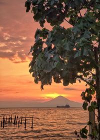 Scenic view of sea against sky during sunset