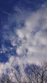 Low angle view of trees against cloudy sky