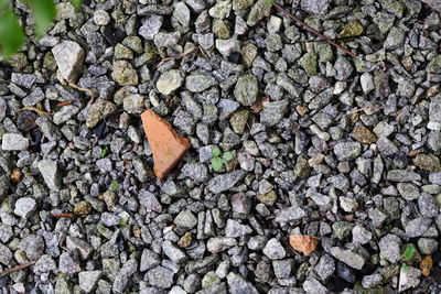 High angle view of rocks on field