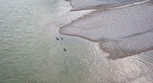 High angle view of beach