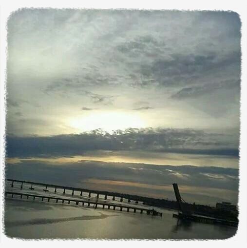 Palmetto Estuary And Preserve