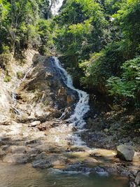 Stream flowing through rocks in forest