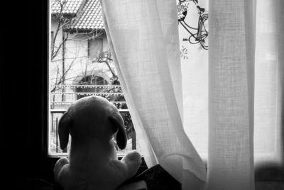 Girl looking through window