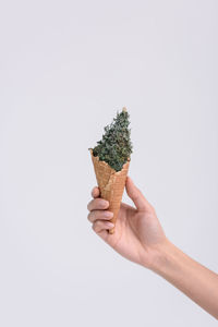Cropped hand of person holding marijuana against white background