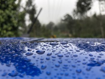 Close-up of raindrops on car windshield