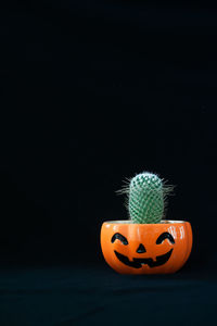 Close-up of pumpkin on table against black background