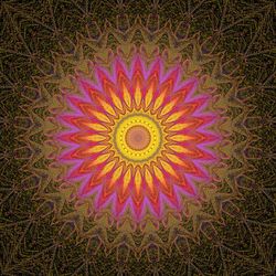 Full frame shot of multi colored pattern