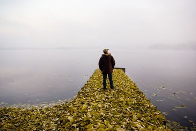 Rear view of man standing on pier over lake during foggy weather