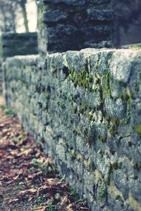 Close-up of rocks