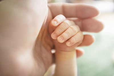 Close-up of hand holding leaf