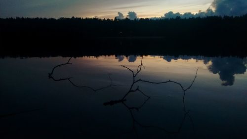 Reflection of silhouette trees in calm lake at dusk
