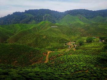 Scenic view of farm against sky