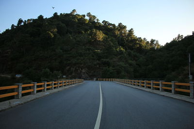 Empty road along trees