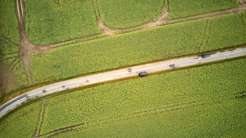 High angle view of field