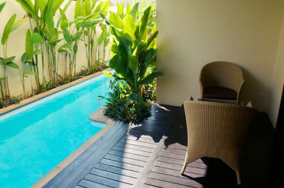 Potted plants in swimming pool