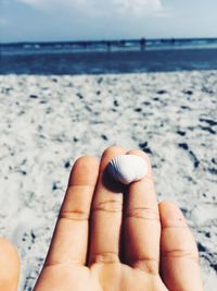 Close-up of seashell on palm of hand against beach