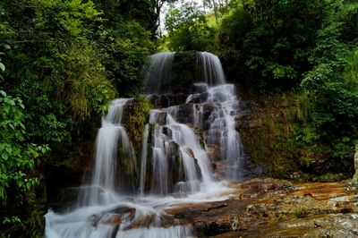 View of waterfall in forest