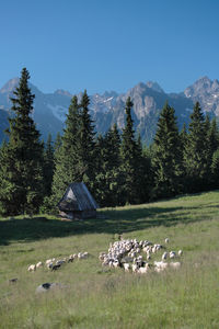 Scenic view of landscape against blue sky