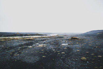 Surface level of land against clear sky