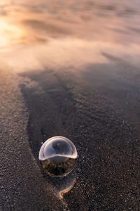 Close-up of shell on beach against sky during sunset