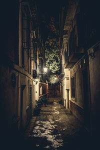 Illuminated narrow alley amidst buildings in city at night