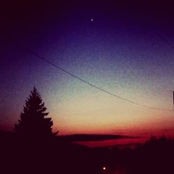 Silhouette trees against clear sky at sunset