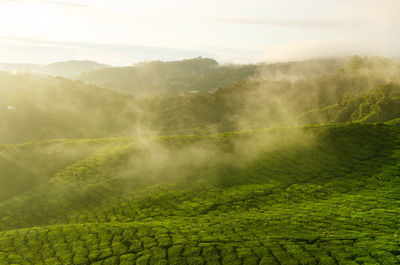 Scenic view of landscape against sky