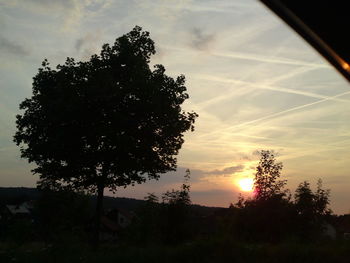 Silhouette trees against sky during sunset